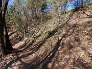 40  Lascio il sent. 594 che scende a sx  e salgo a dx alla linea tagliafuoco